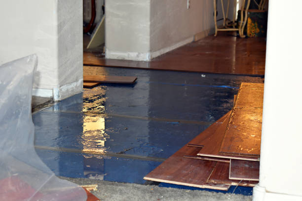 Professional Burst Pipe Cleanup technician working in Zieglerville, PA